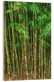 Quadro de madeira Bamboo