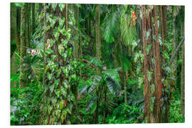 Foam board print Philodendron vines cling to Alexandra palms