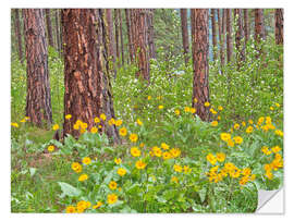 Wandsticker Ponderosa Pine mit Frühlings-Wildblumen