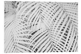 Bilde på skumplate Infrared image of palm fronds