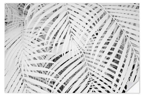 Naklejka na ścianę Infrared image of palm fronds