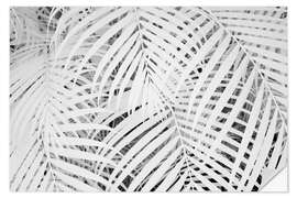 Naklejka na ścianę Infrared image of palm fronds