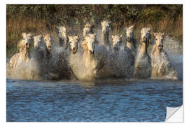 Selvklebende plakat Horses running through water