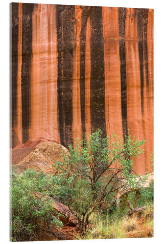 Tableau en verre acrylique Mineral-colored walls made of Wingate sandstone