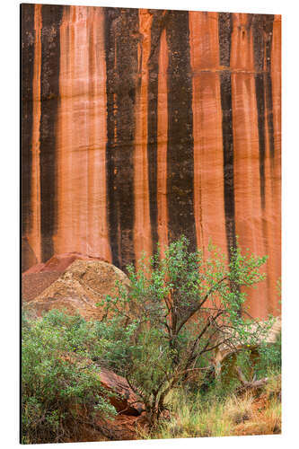 Obraz na aluminium Mineral-colored walls made of Wingate sandstone