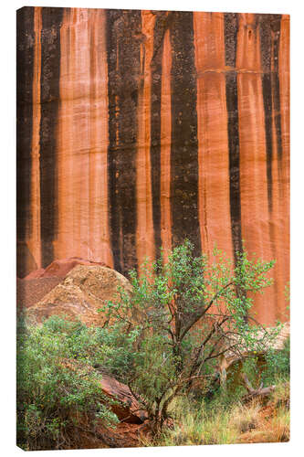 Lærredsbillede Mineral-colored walls made of Wingate sandstone