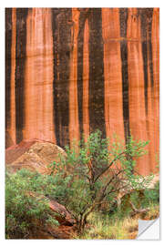 Naklejka na ścianę Mineral-colored walls made of Wingate sandstone