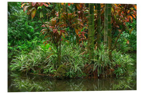 Tableau en PVC Bamboo on an island in Lily Lake