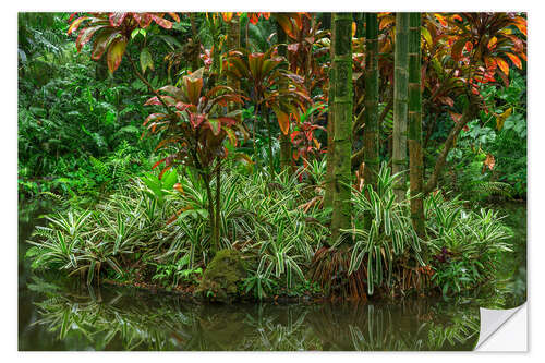 Sisustustarra Bamboo on an island in Lily Lake