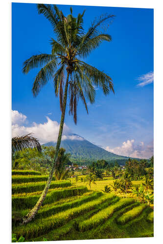 Foam board print Jatiluwih Rice Terrace, Bali, Indonesia