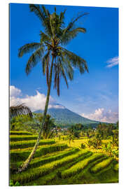 Galleriprint Jatiluwih Rice Terrace, Bali, Indonesia