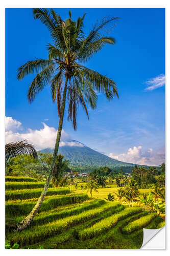 Sticker mural Jatiluwih Rice Terrace, Bali, Indonesia