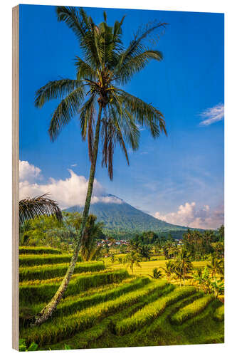 Wood print Jatiluwih Rice Terrace, Bali, Indonesia