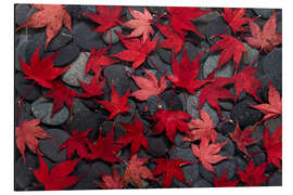 Magnettafel Japanische Ahornblätter