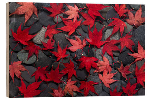 Tableau en bois Japanese maple leaves