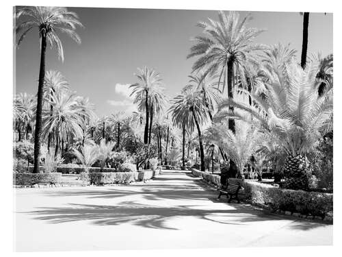 Acrylic print Garden of Bonanno Palermo