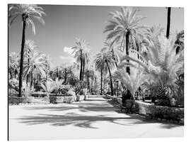 Alubild Garten Bonanno Palermo