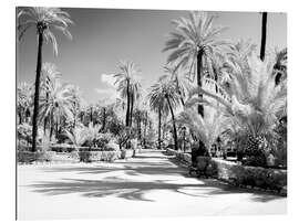 Gallery print Garden of Bonanno Palermo