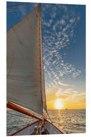 Foam board print Sunset sail on schooner America 2.0 in Key West