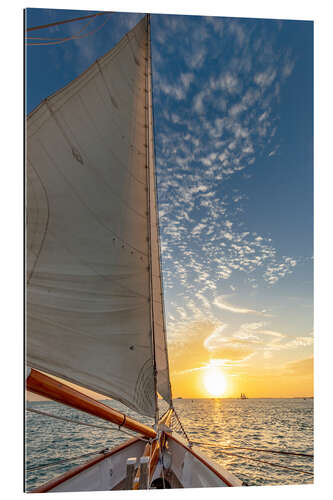 Gallery print Sunset sail on schooner America 2.0 in Key West