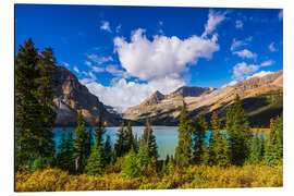 Quadro em alumínio Bow Lake and the Bow Glacier, Banff National Park