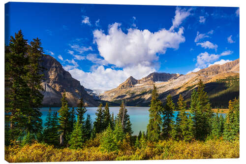 Leinwandbild Bow Lake und der Bow-Gletscher, Banff National Park