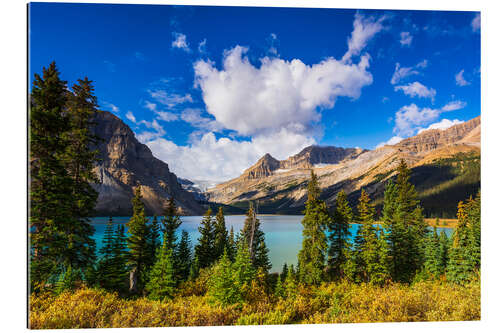 Gallery print Bow Lake and the Bow Glacier, Banff National Park