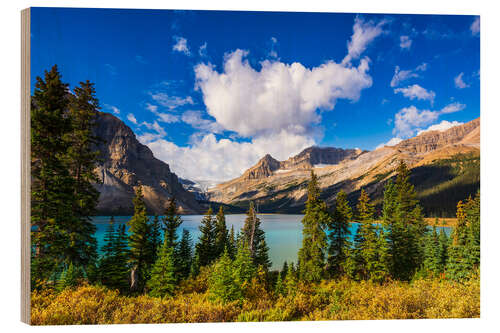 Holzbild Bow Lake und der Bow-Gletscher, Banff National Park