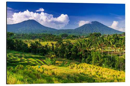 Stampa su alluminio Jatiluwih rice terrace, Bali, Indonesia