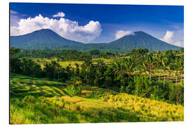 Cuadro de aluminio Jatiluwih rice terrace, Bali, Indonesia