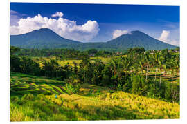 Foam board print Jatiluwih rice terrace, Bali, Indonesia