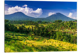 Gallery print Jatiluwih rice terrace, Bali, Indonesia