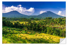 Wall sticker Jatiluwih rice terrace, Bali, Indonesia