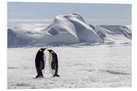 Foam board print Two emperor penguins stand in the icy landscape