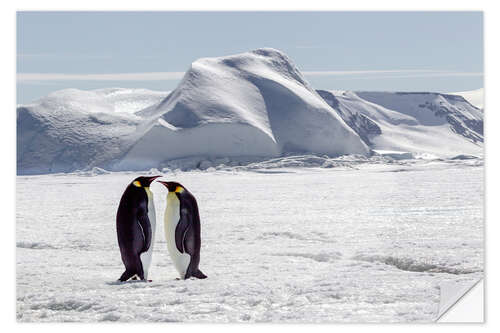 Vinilo para la pared Two emperor penguins stand in the icy landscape