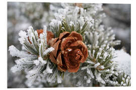 PVC-taulu Rime-covered pinyon pine