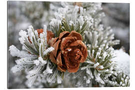 Cuadro de plexi-alu Rime-covered pinyon pine