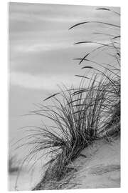 Quadro em acrílico  Grasses in the Dunes I - Adam Jones