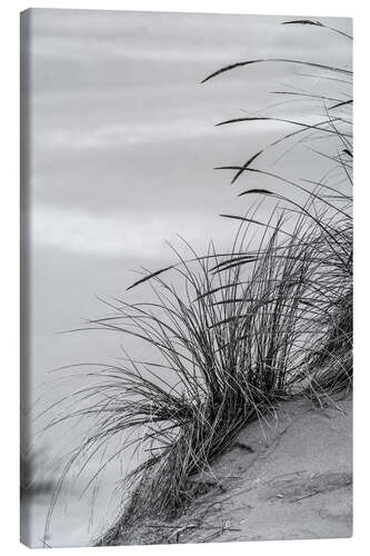 Canvas-taulu Grasses in the Dunes I