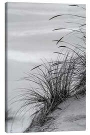 Canvastavla  Grasses in the dunes - Adam Jones
