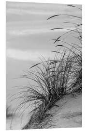 Foam board print Grasses in the Dunes I