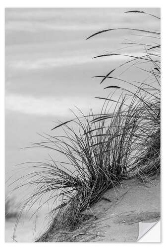 Selvklebende plakat Grasses in the Dunes I