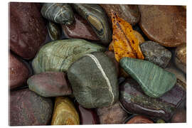 Acrylic print  Colorful river stones - Chuck Haney