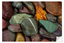 Vinilo para la pared Colorful river stones