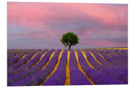 PVC-taulu Sunrise on a lavender field