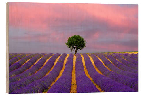 Tableau en bois Sunrise on a lavender field