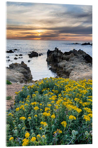 Akrylbillede Sunset in Monterey Bay