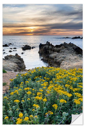 Wall sticker Sunset in Monterey Bay