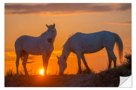 Sticker mural Two Camargue horses at sunrise