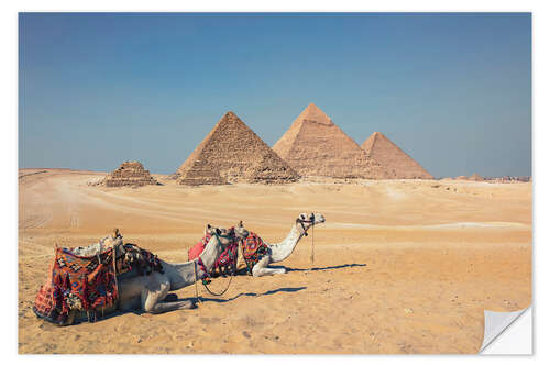 Vinilo para la pared Camels in Giza